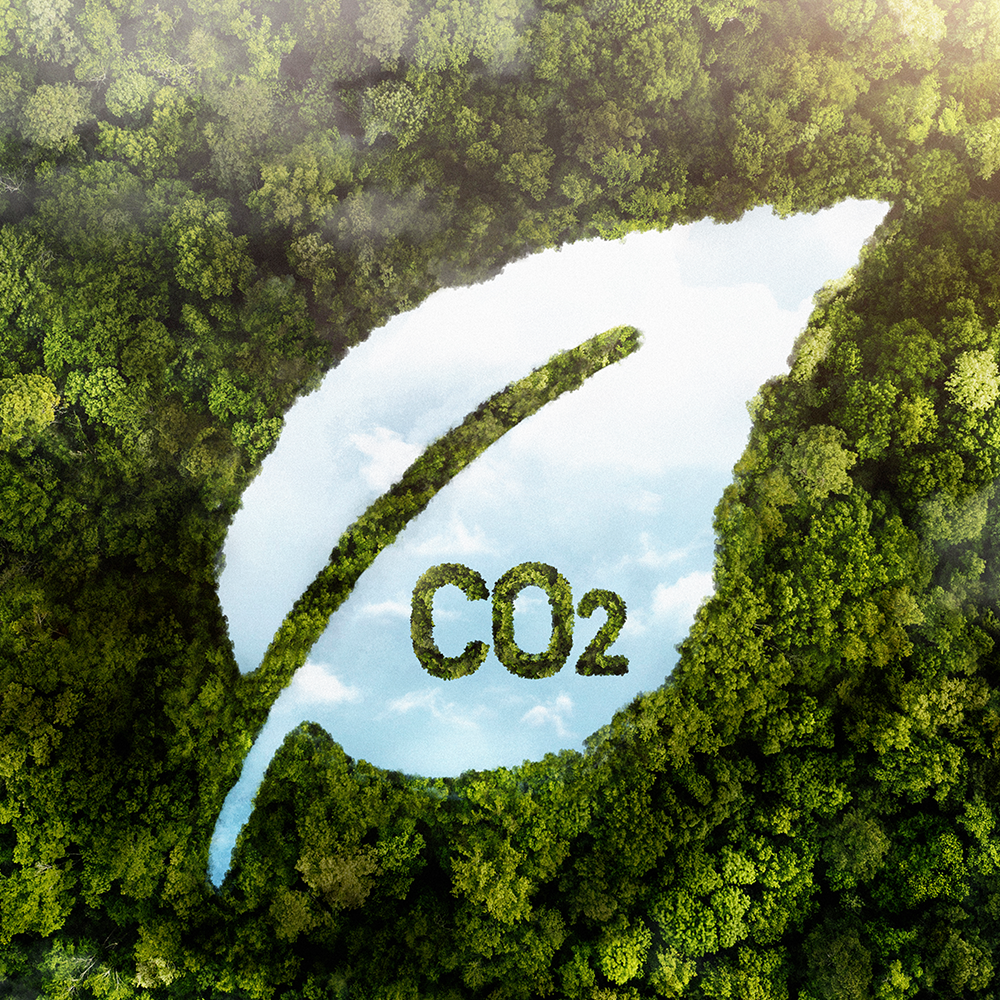 Die Wahrheit über CO2-Ausstoß: Was wir tun können, um den Unterschied zu machen